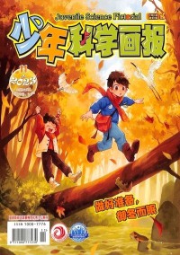 少年科學畫報雜志