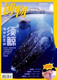 博物雜志